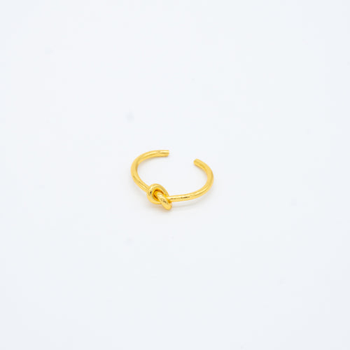 ANILLO