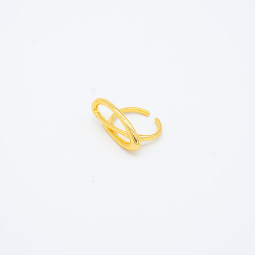 ANILLO