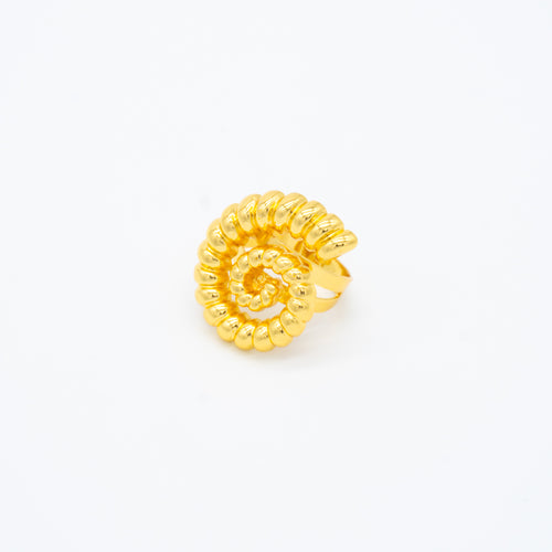 ANILLO