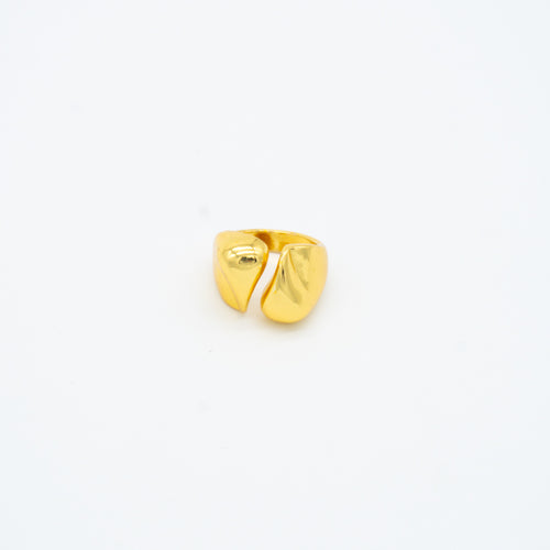 ANILLO