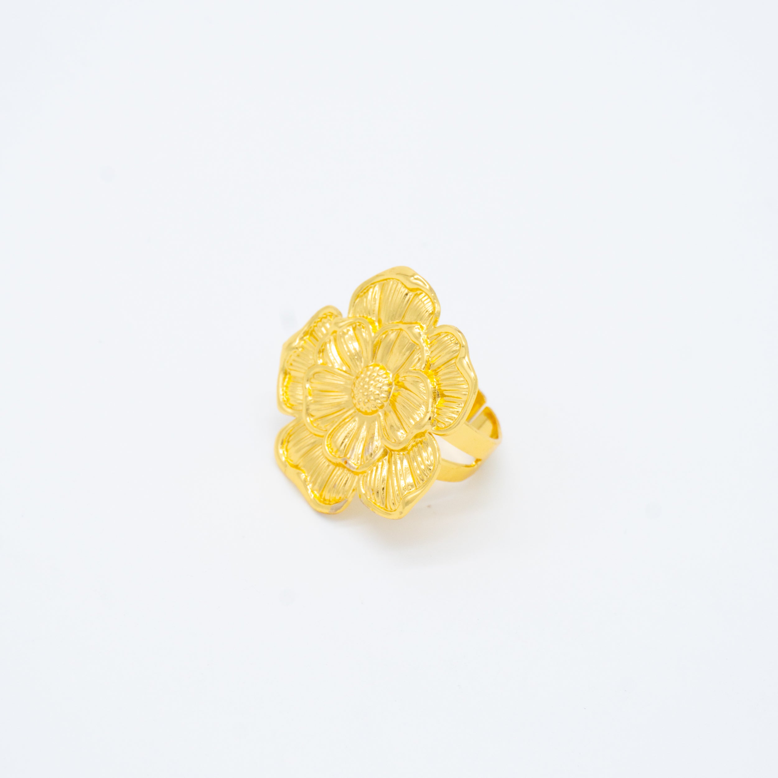 ANILLO