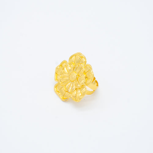ANILLO