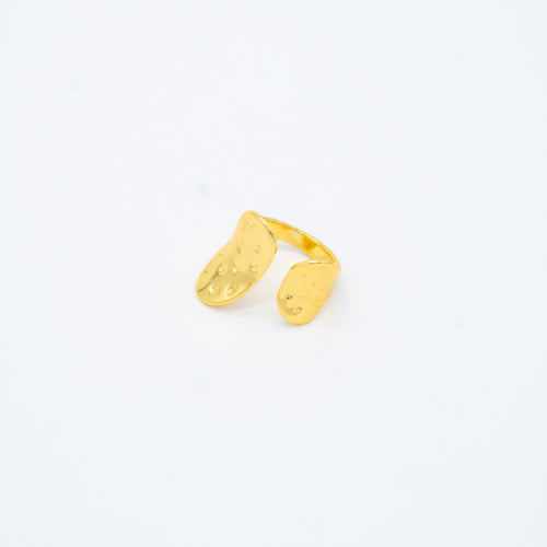 ANILLO