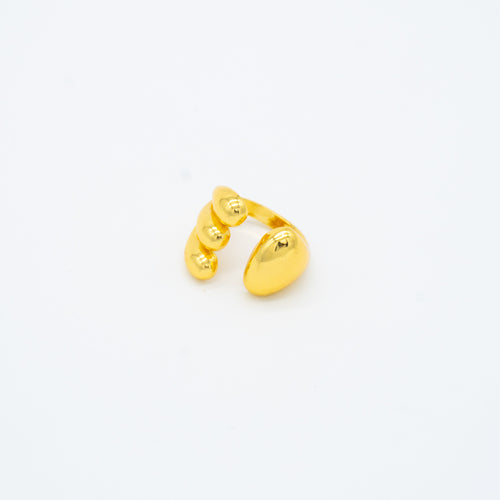 ANILLO