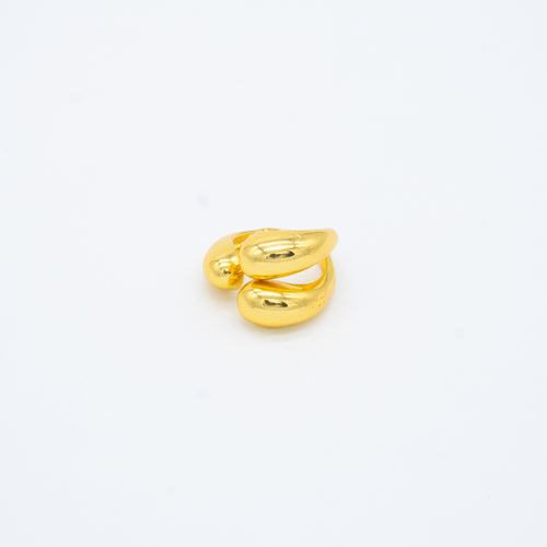 ANILLO
