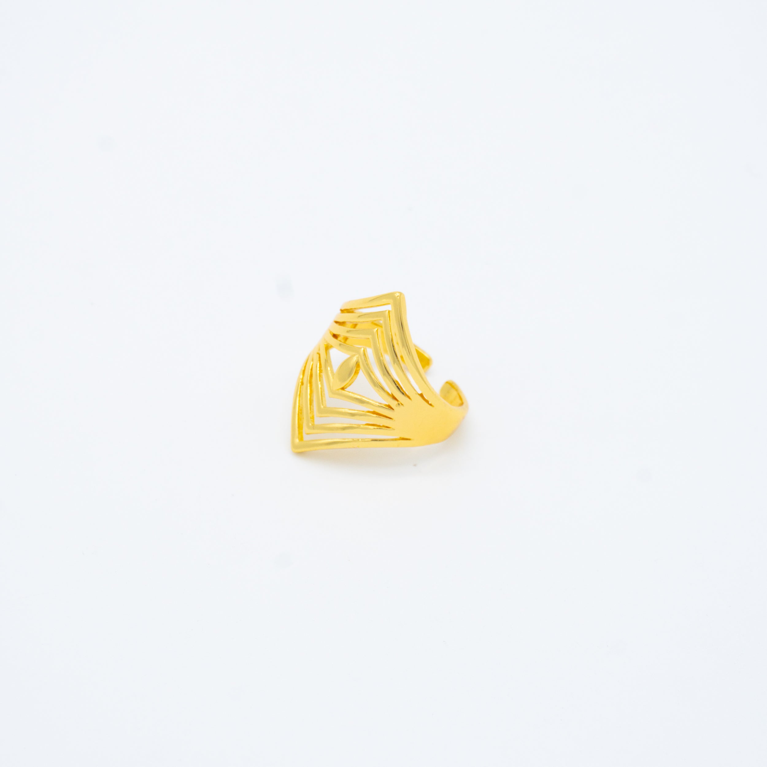 ANILLO