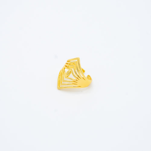 ANILLO