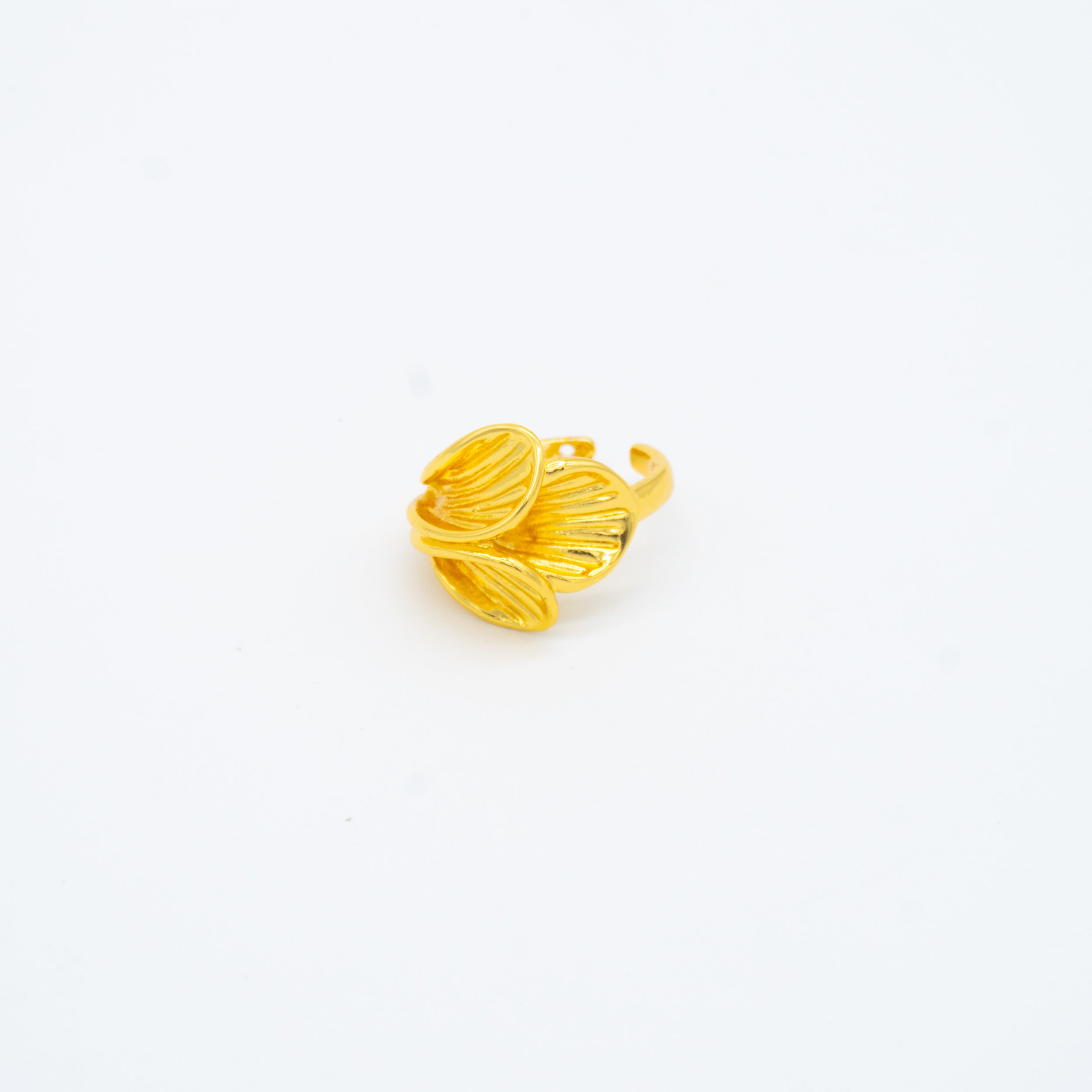 ANILLO