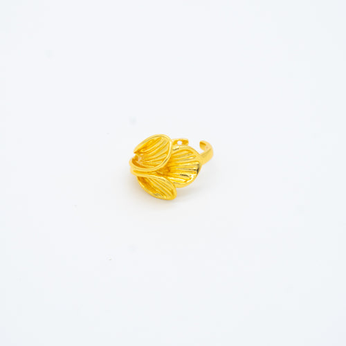 ANILLO