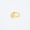 ANILLO