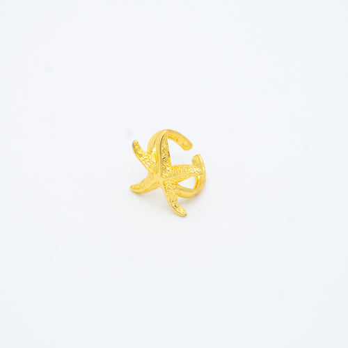 ANILLO