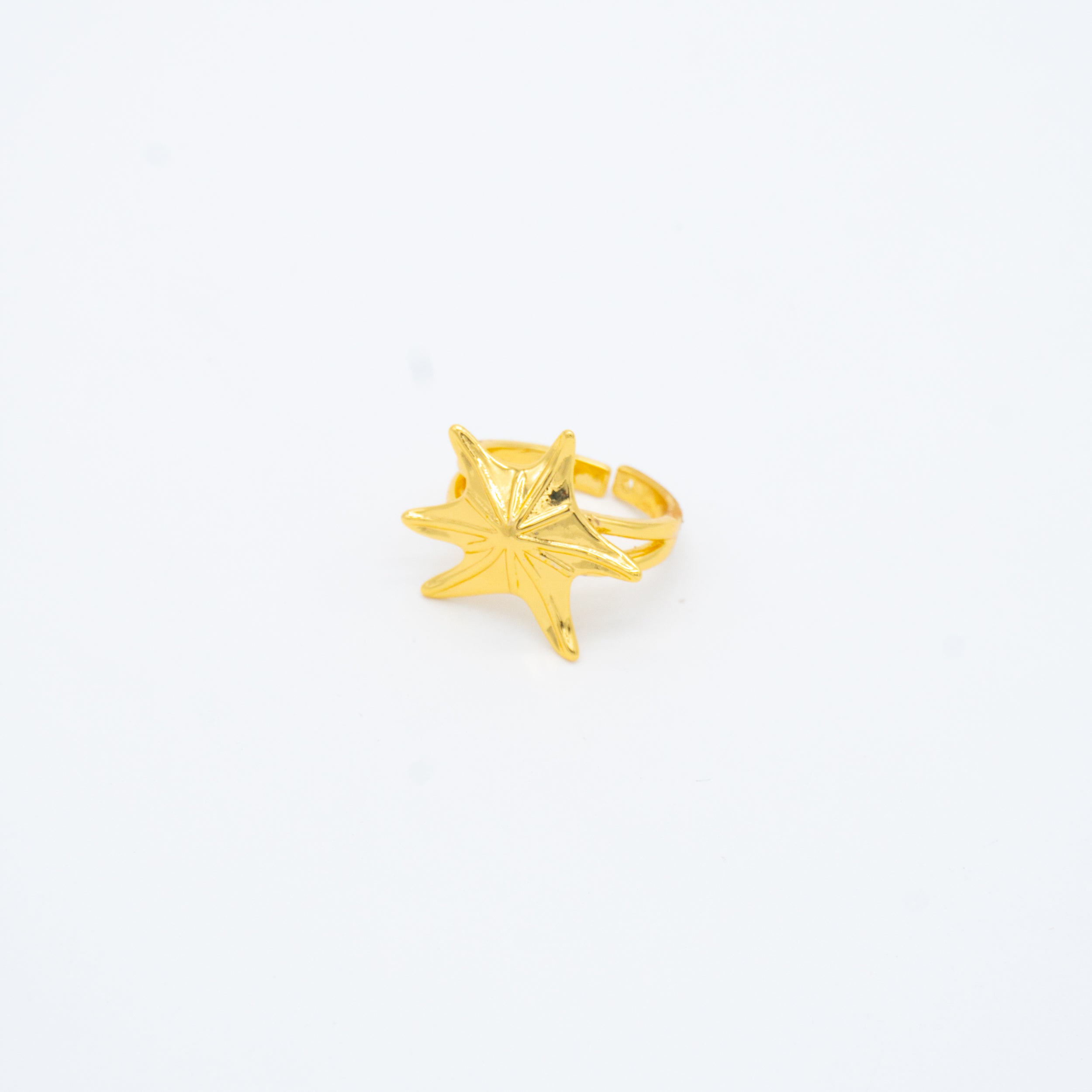 ANILLO