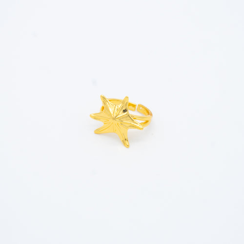 ANILLO