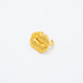 ANILLO