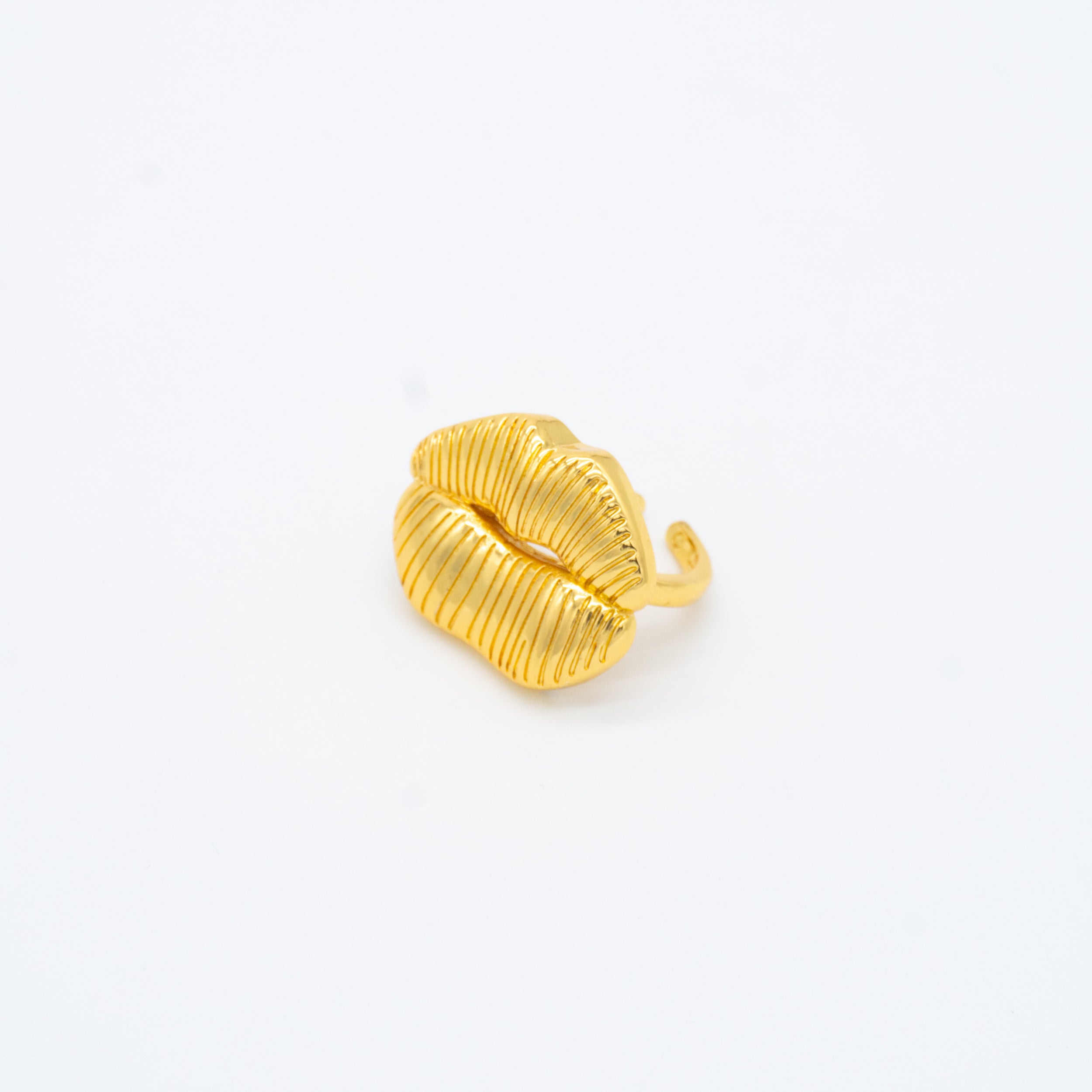 ANILLO