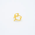 ANILLO