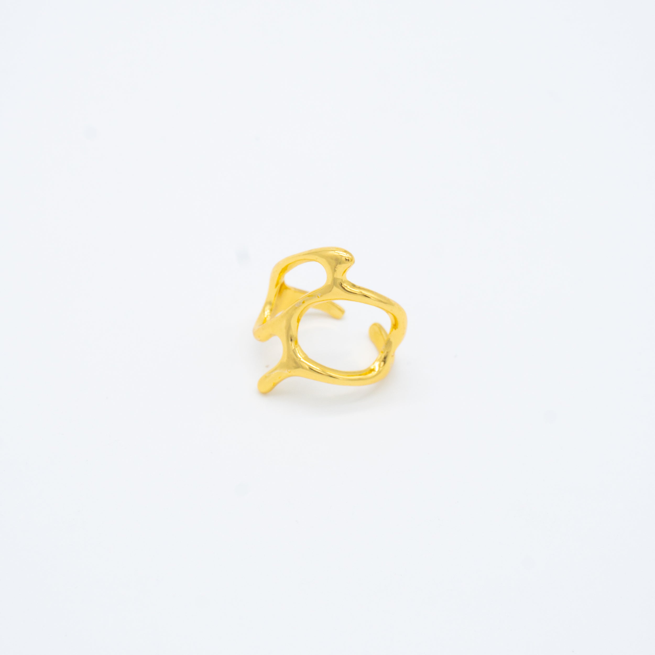 ANILLO