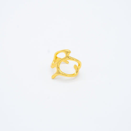 ANILLO
