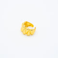 ANILLO