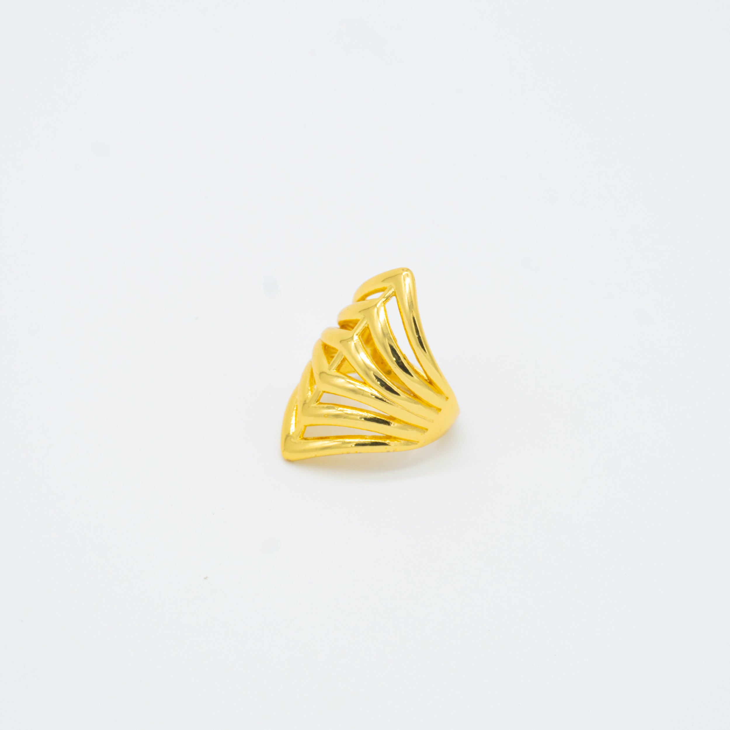 ANILLO