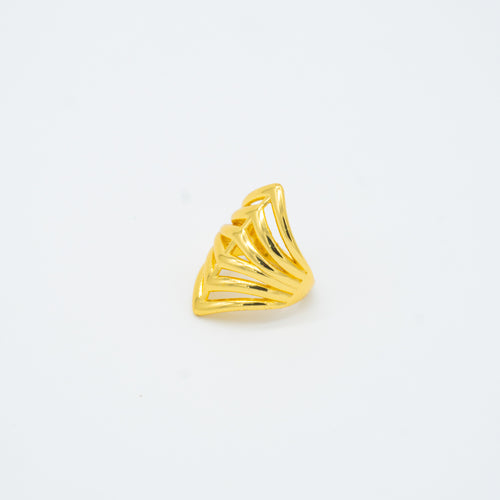 ANILLO