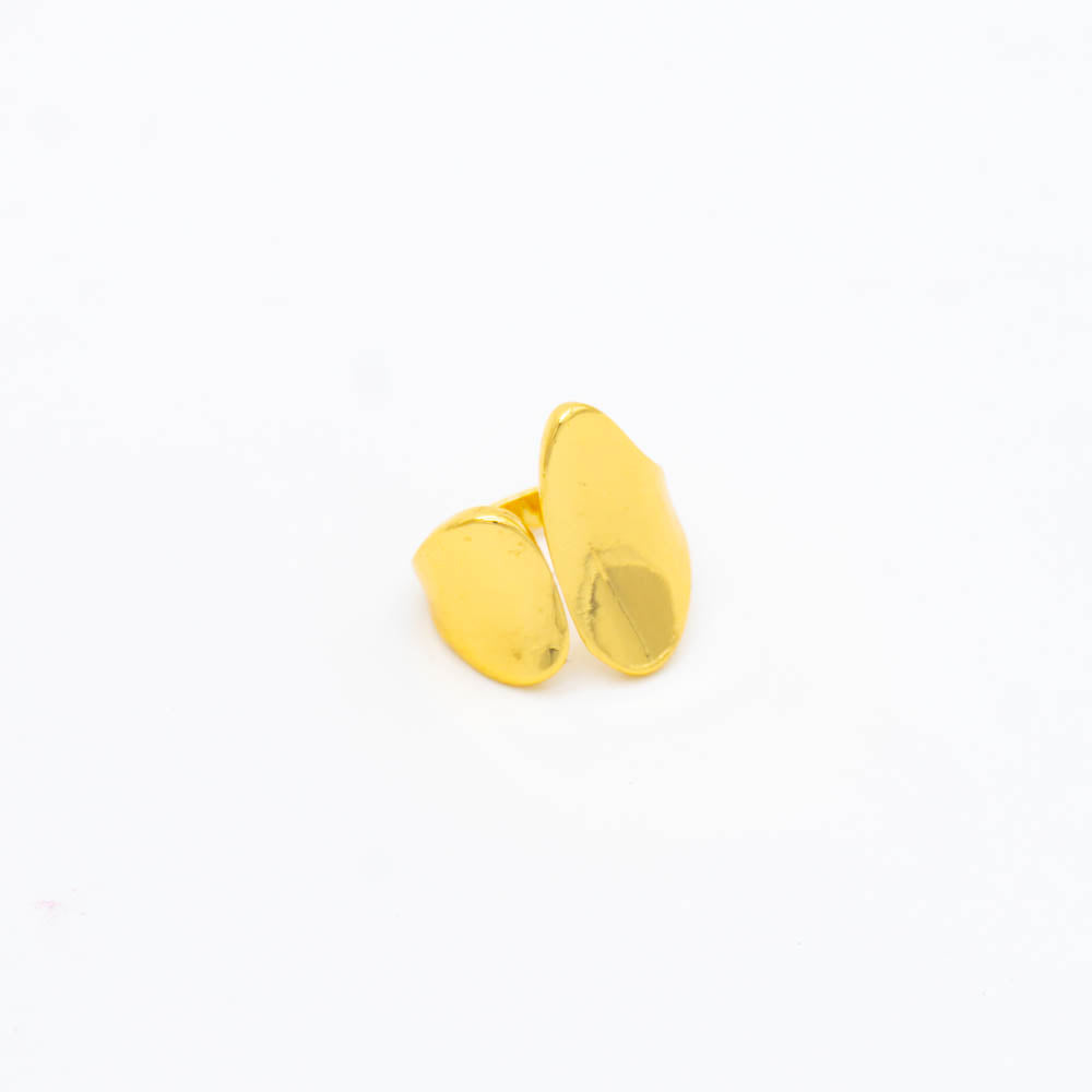 ANILLO