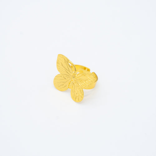 ANILLO