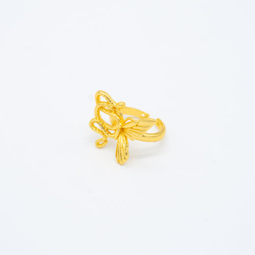 ANILLO