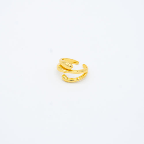 ANILLO