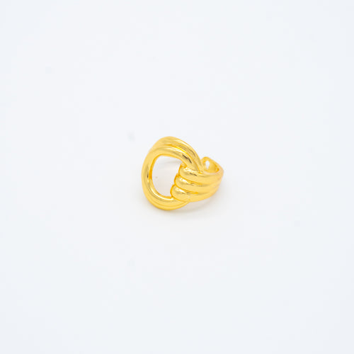 ANILLO