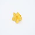 ANILLO