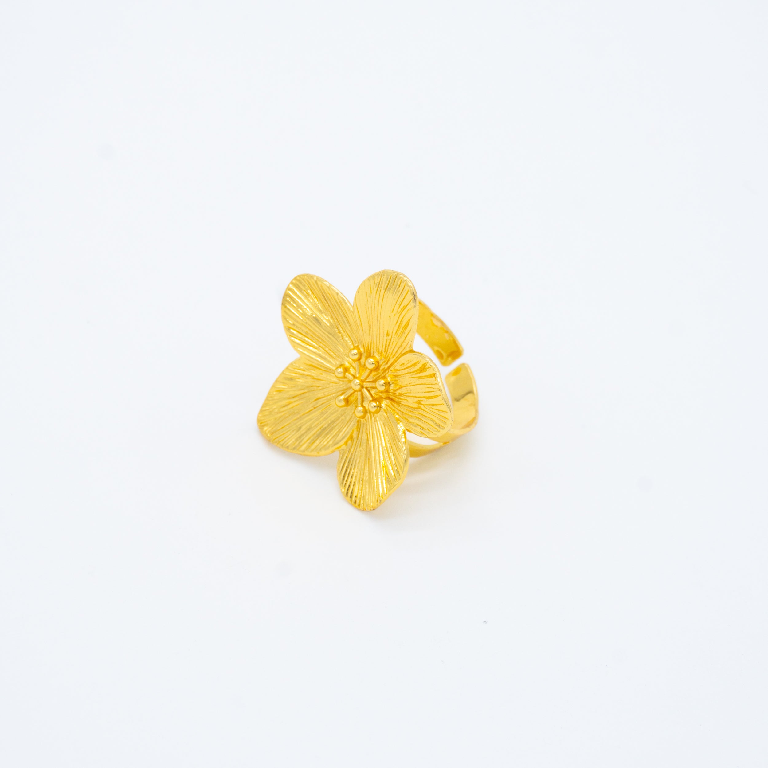 ANILLO