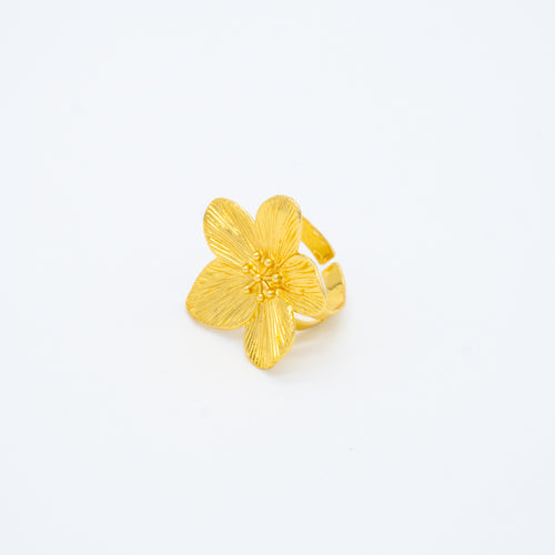 ANILLO