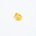 ANILLO