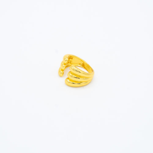 ANILLO