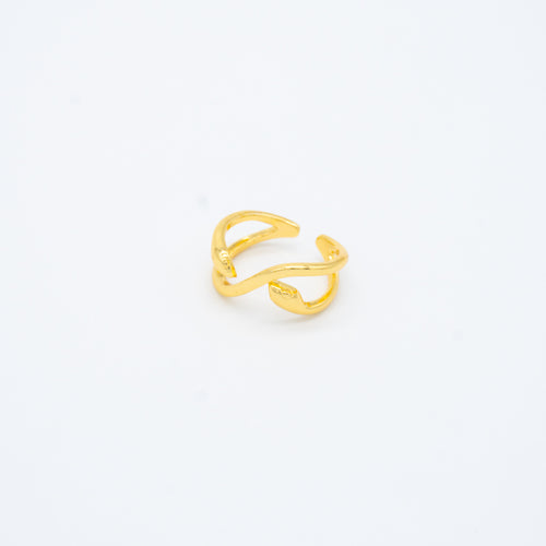 ANILLO