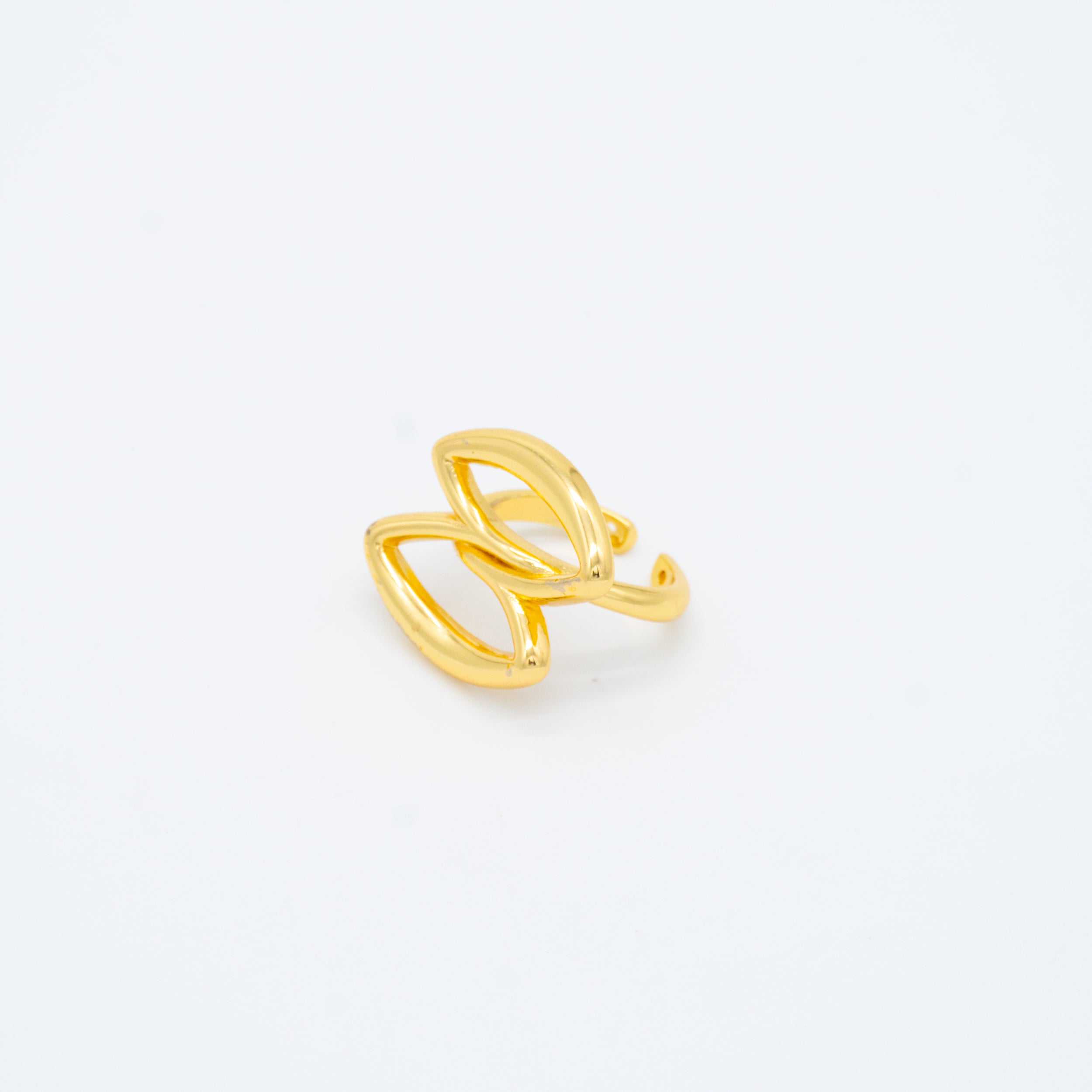 ANILLO