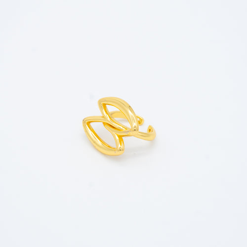 ANILLO