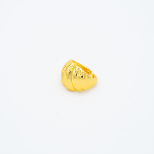 ANILLO