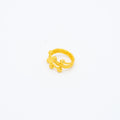 ANILLO