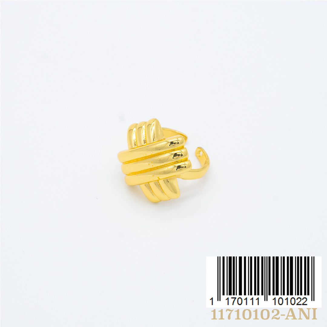 ANILLO