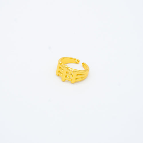 ANILLO