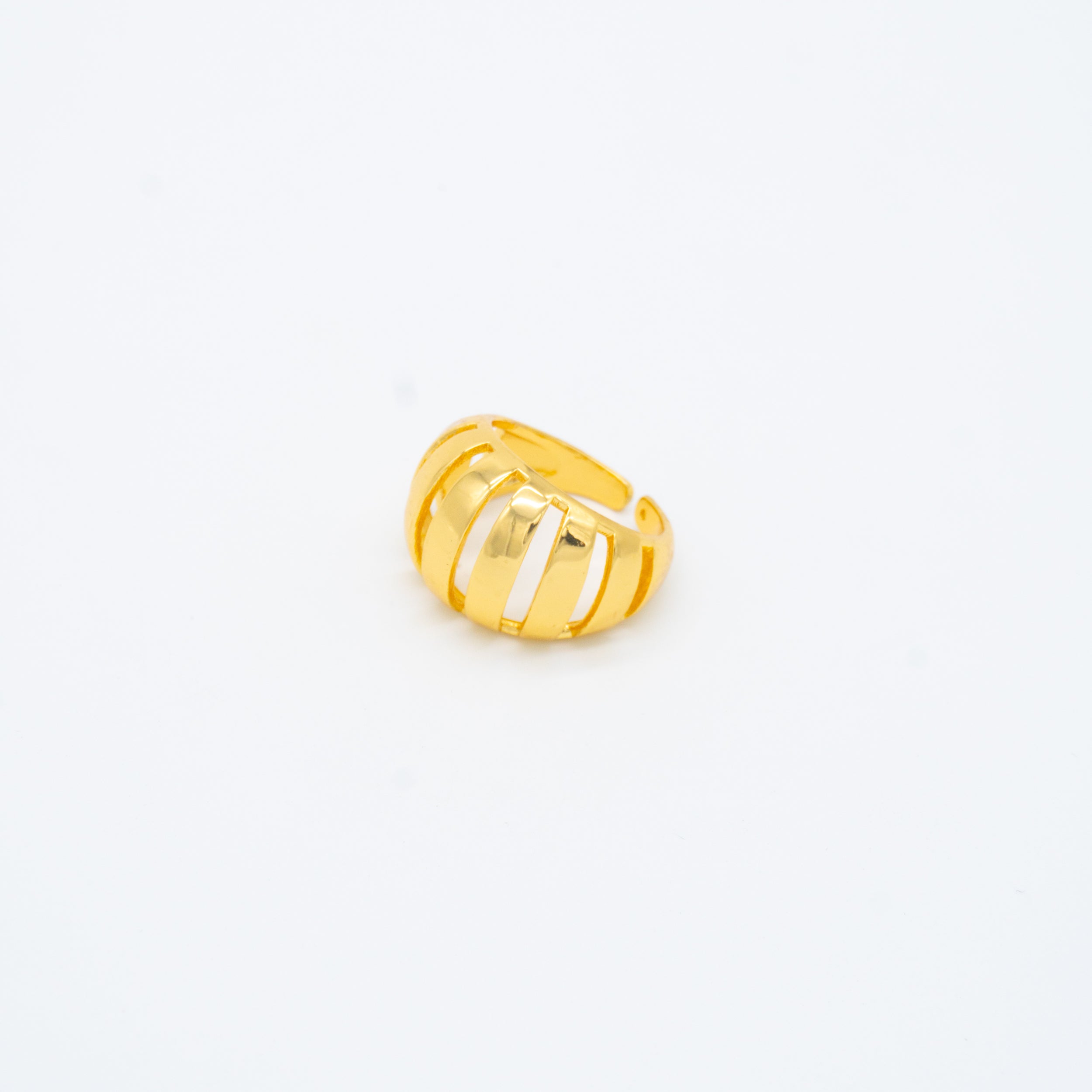 ANILLO