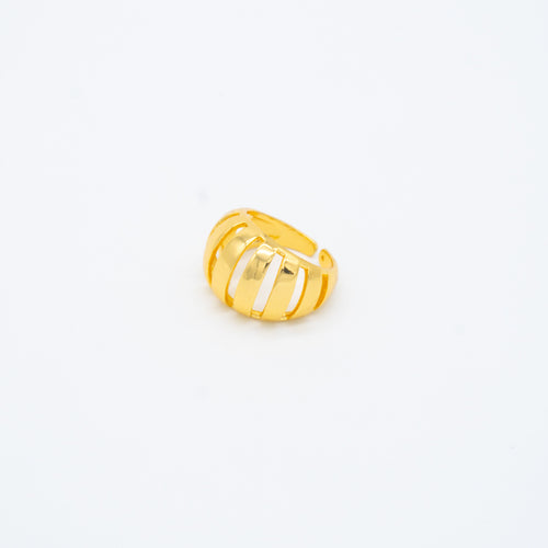 ANILLO