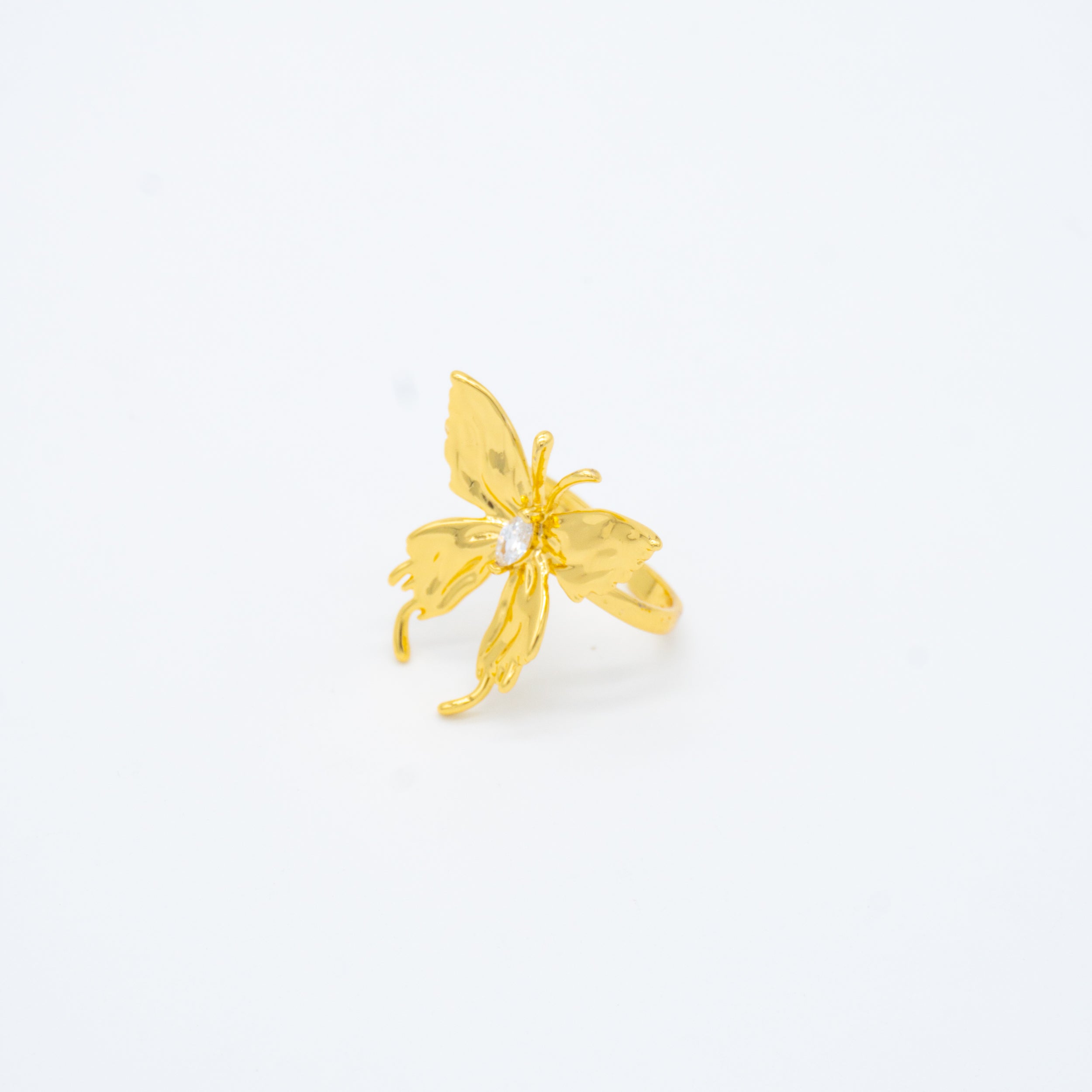 ANILLO