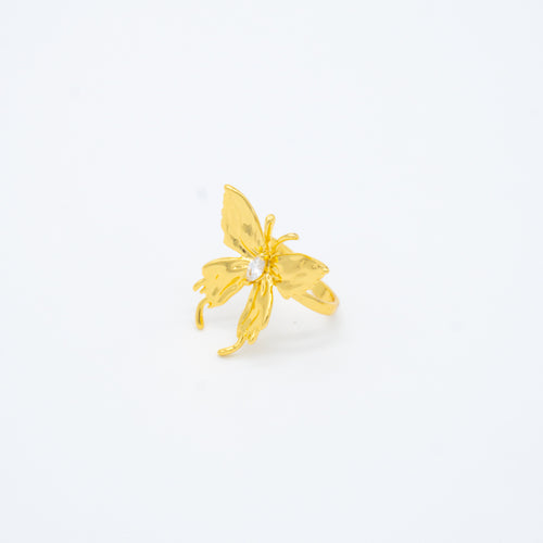 ANILLO