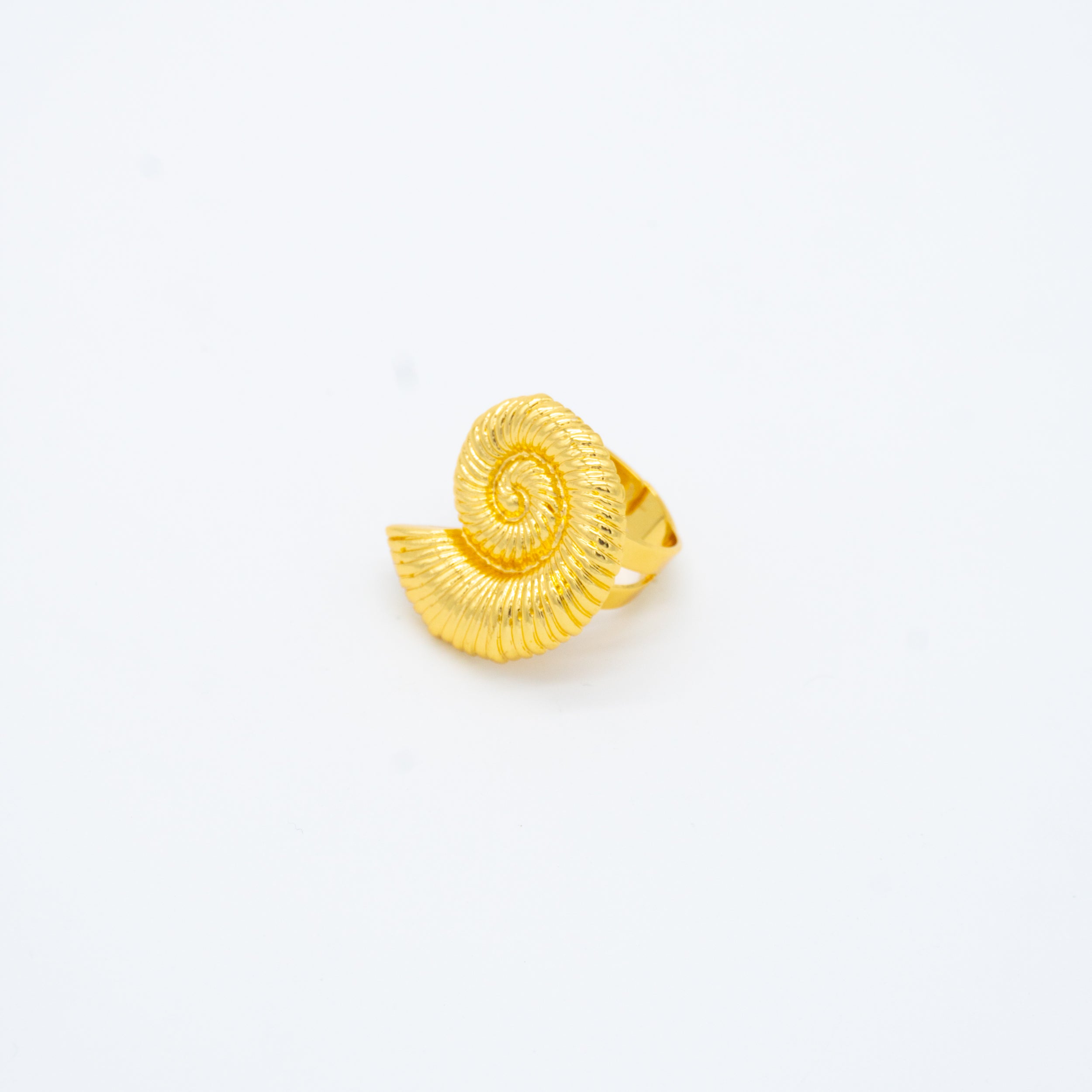 ANILLO