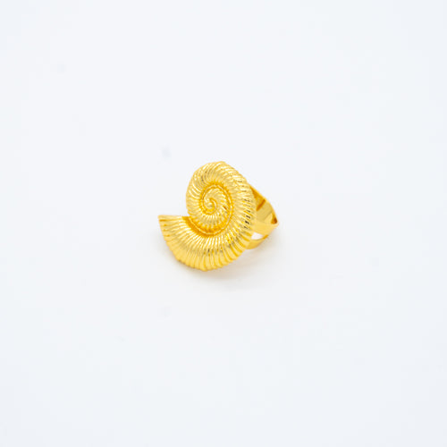 ANILLO