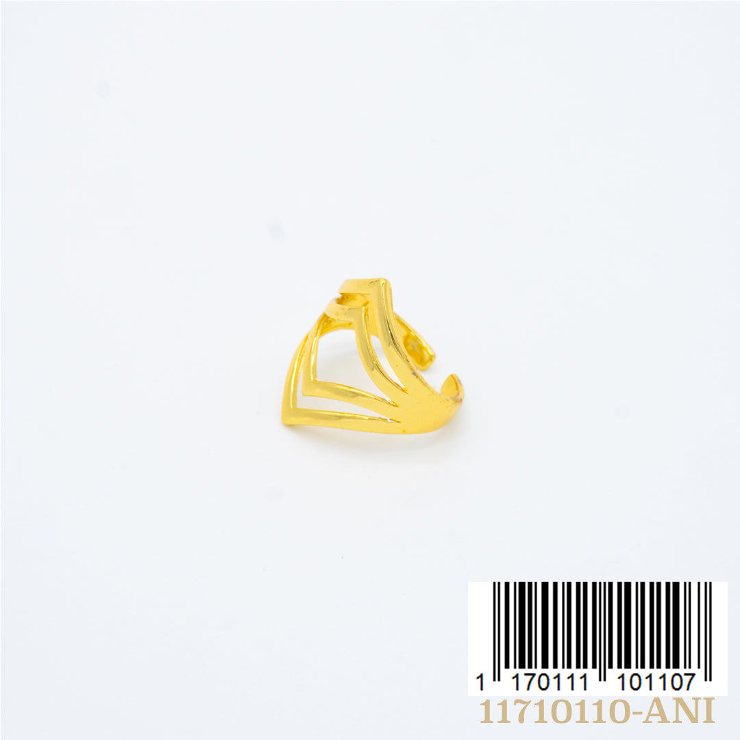 ANILLO