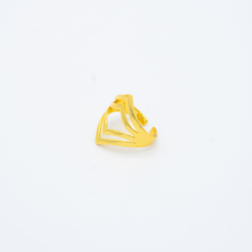 ANILLO